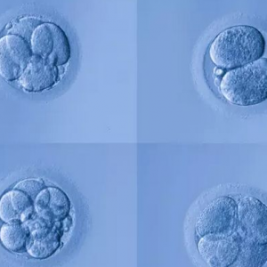 2026年国内生殖中心私立医院排名公布
