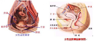 在金华挂号费需要多少钱[浙江试管婴儿]