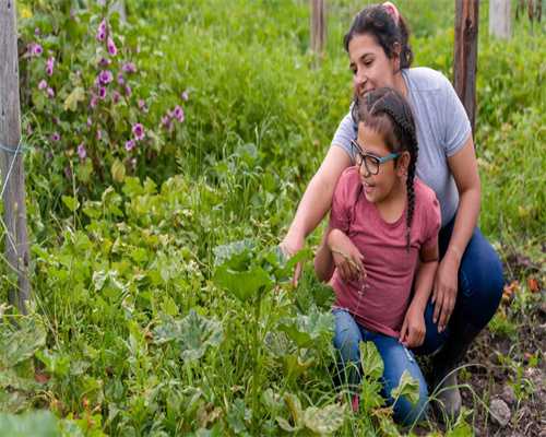 汕尾做试管婴儿的流程是怎么样的 汕尾哪里可以体验分娩阵痛